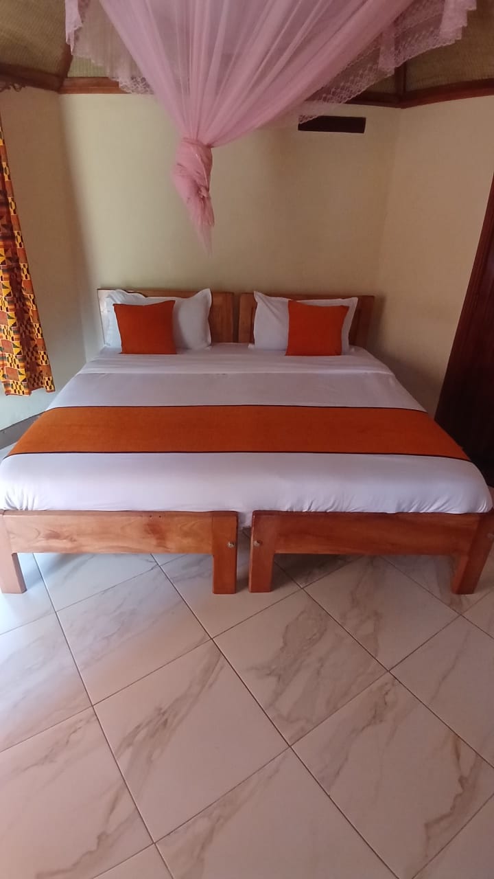 WhatsApp Image 2026-01-20 at 14.00.08